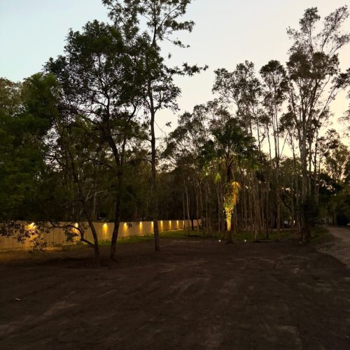 A strip of outdoor lights along a pathway with trees around.